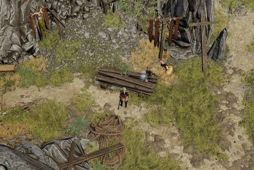 Divinity: Original Sin 2 - «Divinity: Original Sin 2»: БАГИ И "СТРАННОСТИ"